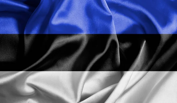 Silk Flag Estonia Background Motion — Stock Photo, Image