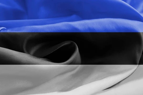 ธงไหม เอสโตเน การเคล อนไหวพ นหล — ภาพถ่ายสต็อก