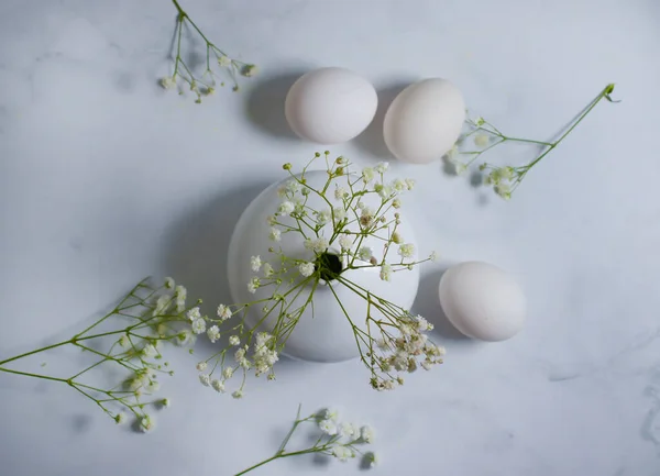 Oeuf Fleur Gypsophila Fond Pâques — Photo