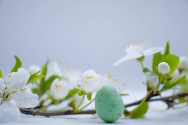 Kiraz çiçekleri, arka planda yumurtalar.