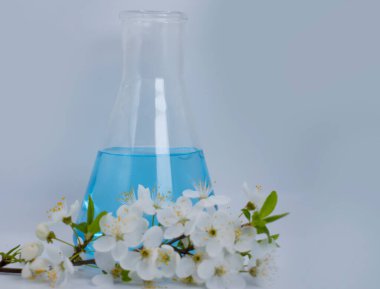 Laboratuvar şişesi, arka planda kiraz çiçekleri.