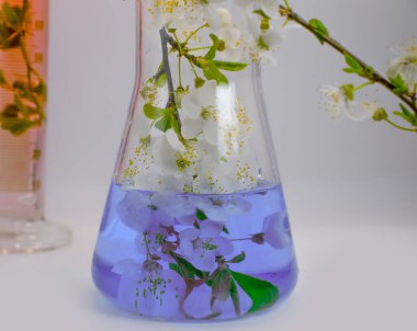 Laboratuvar şişesi, arka planda kiraz çiçekleri.