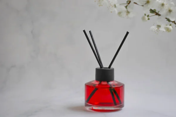 Perfumy Dla Kwiatów Domowych Jasnym Tle — Zdjęcie stockowe
