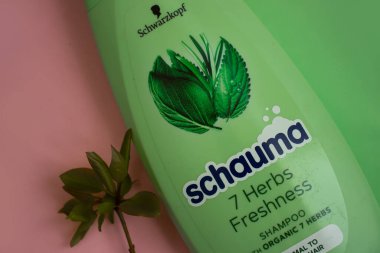 24 Nisan 2022 Ukrayna şehri renkli arka planda Kyiv Schauma şampuanı