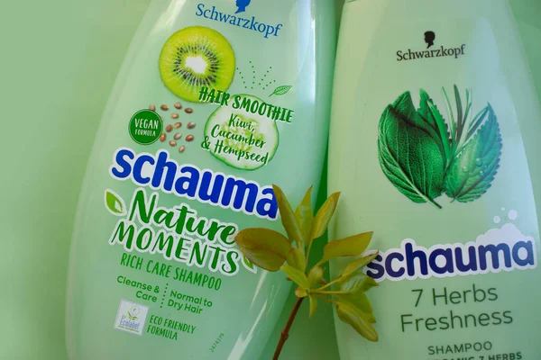 24 Nisan 2022 Ukrayna şehri renkli arka planda Kyiv Schauma şampuanı