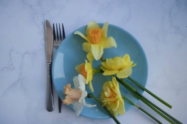 Hafif arka planda narsisli çiçek tabağı