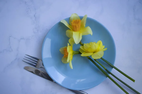 Plate Narcissus Flower Light Background — Stock Fotó