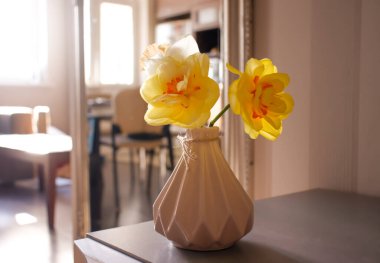 Evdeki vazoda narsislik çiçeği