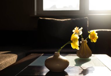 Evdeki vazoda narsislik çiçeği