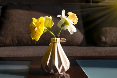 Evdeki vazoda narsislik çiçeği