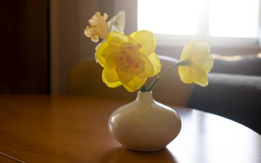 Evdeki vazoda narsislik çiçeği