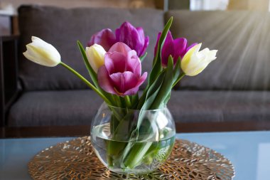 Odadaki vazoda lale çiçeği