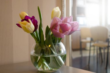 Odadaki vazoda lale çiçeği