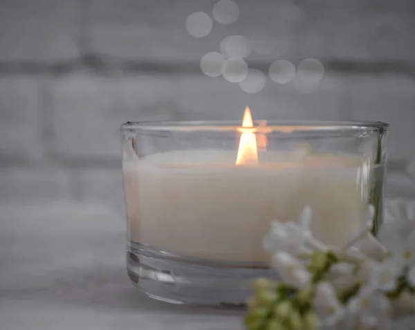 Aroma Candle Flower Lilac Apartment — Stock fotografie