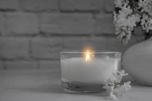 Aroma Candle Flower Lilac Apartment — стоковое фото