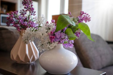 Beautiful lilac flower at home