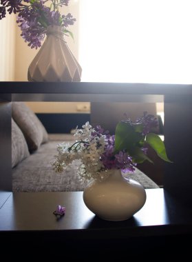 Beautiful lilac flower at home
