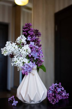 Evdeki güzel leylak çiçeği