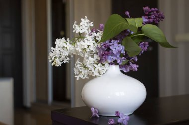 Evdeki güzel leylak çiçeği