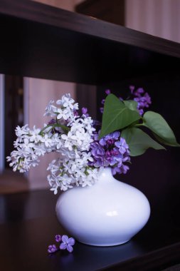 Evdeki güzel leylak çiçeği