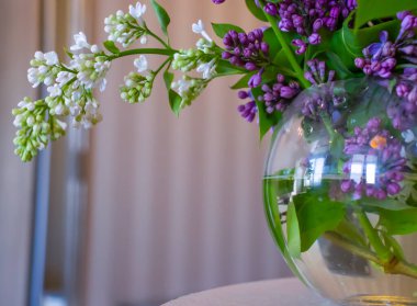 Evdeki güzel leylak çiçeği