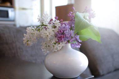 Evdeki güzel leylak çiçeği