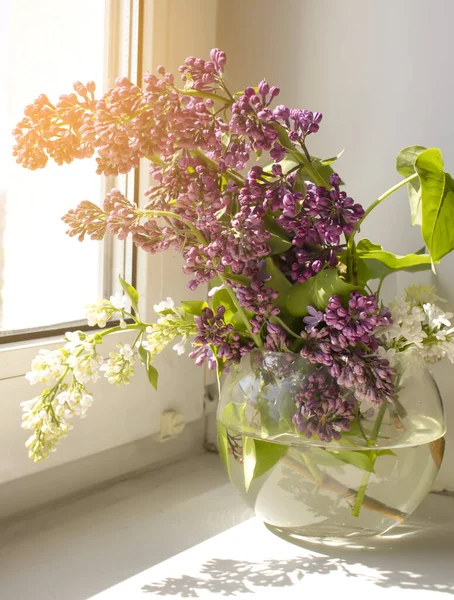 Evdeki güzel leylak çiçeği