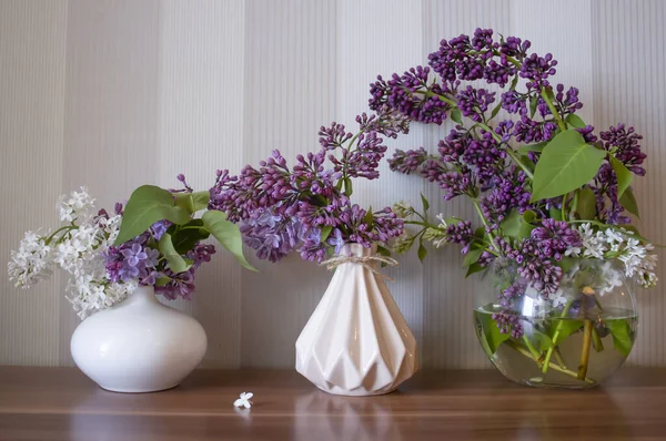 Evdeki güzel leylak çiçeği