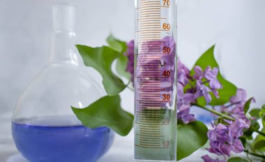 Laboratuvar matarası, açık arkaplan çiçekli leylak.