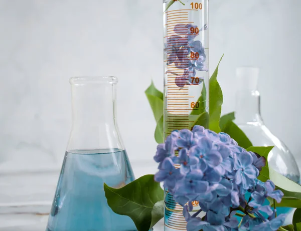 Laboratory Flask Flower Lilac Light Background — Foto de Stock