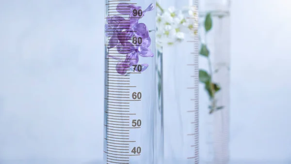 Laboratory Flask Flower Lilac Light Background — 스톡 사진