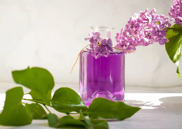 Lilac Extract Glass Bottle Light Background — Stock Photo, Image