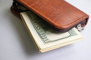 Cüzdanında Amerikan dolarları var.