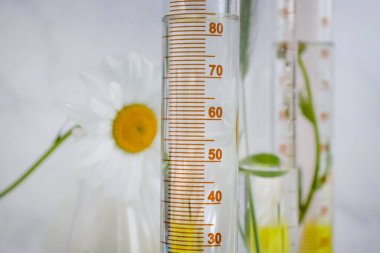 Laboratuvar matarası, arka planda papatya çiçeği.