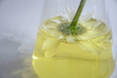 Laboratuvar matarası, arka planda papatya çiçeği.