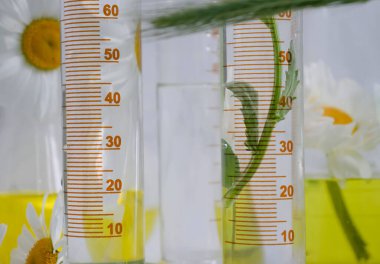 Laboratuvar matarası, arka planda papatya çiçeği.