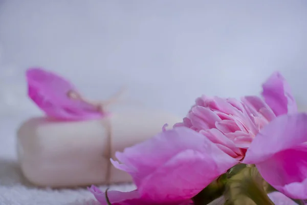 Solid Soap Peony Flower Light Background — Stock Photo, Image