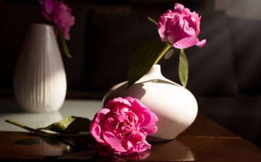 Odanın içindeki vazoda şakayık çiçeği iç hayat tarzında