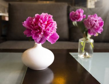 Odanın içindeki vazoda şakayık çiçeği iç hayat tarzında