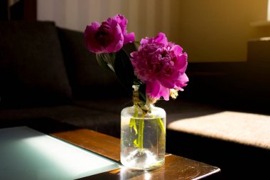 Odadaki vazoda şakayık çiçeği