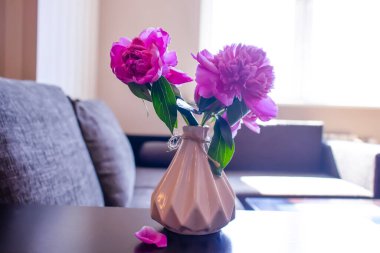 Odadaki vazoda şakayık çiçeği