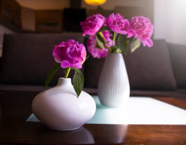 Odadaki vazoda şakayık çiçeği