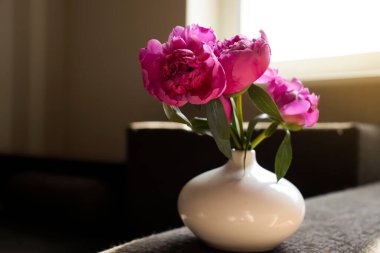 Odadaki vazoda şakayık çiçeği