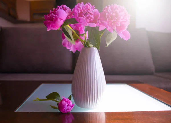 Цветок Пиона Вазе Комнате — стоковое фото