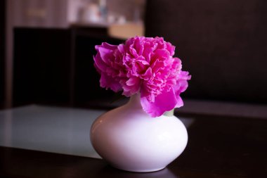 Odadaki vazoda şakayık çiçeği