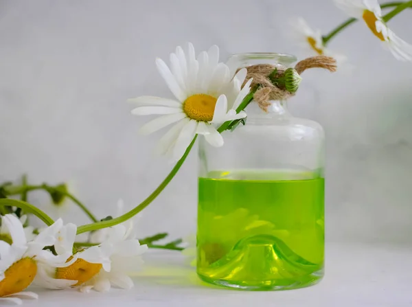 Oil Cosmetic Flower Chamomile Light Background — Stock Photo, Image