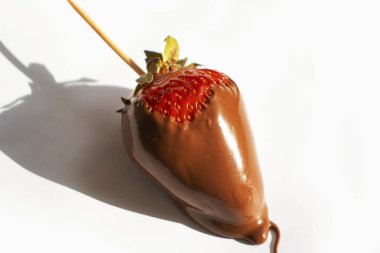 Hafif bir arka planda çikolatalı taze çilekler.