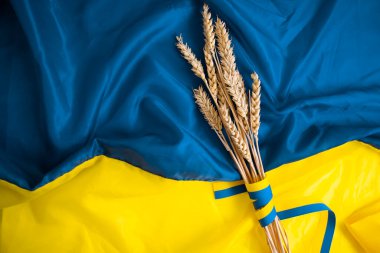 Ukrayna bayrağının arka planında ekmek kulağı