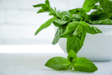 Hafif arkaplanda taze nane