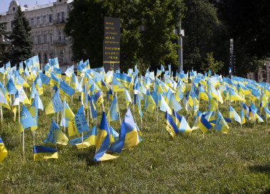 19 Haziran 2022 Ukrayna 'nın Kyiv kenti Khreshchatyk anısına merkezi bayraklar